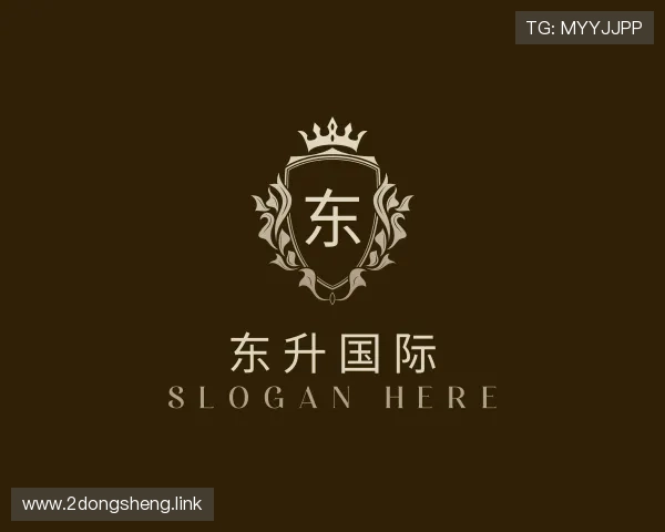 认识东升国际